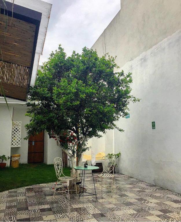 Hoja Santa Hostal Boutique Cholula Eksteriør bilde
